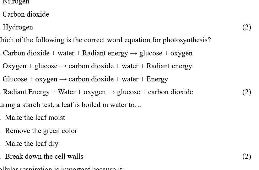 Grade 8 Maths Exam Practice Booklet A (Term 1 & 2) - Image 2