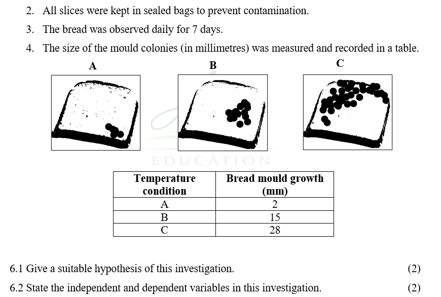 Grade 8 and 9 NS/LS Skills Booklet - Image 2