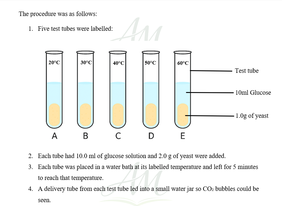 Grade 8 and 9 NS/LS Skills Booklet - Image 4